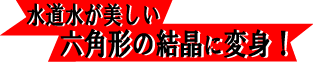 ���������������Z�p�`�̌����ɕϐg