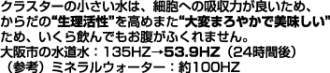 �N���X�^�[�̏��������͍זE�ւ̋z���͂�������ςȂ߂炩