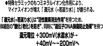 �_���E�Ҍ��E�_���Ҍ��d�ʂ̕ω�