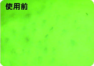 �g�p�O