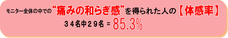 ���j�^�[�S�̂̒��ł́g�ɂ݂̘a�炬���h�𓾂�ꂽ�l�́y�̊����z �Q�Q�����Q�O�� �� �X�O�D�X��