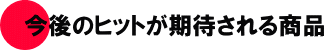 ����̃q�b�g�����҂���鏤�i