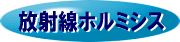 �u���ː��z���~�V�X�v