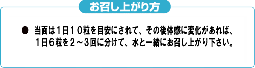 �������オ��� 