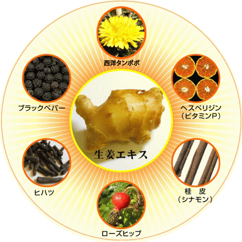 �y7��ނ́w�����n�[�u�x�ށz