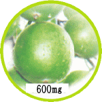 �y���N�����ʁz�͓����C�ɂ�����ɂ����S�̊Ö����ł�