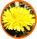 ���m�^���|�|